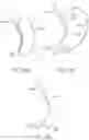 Fig. 29 - Endoluminal sleeve gastroplasty
