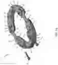 Fig. 02 - Apparatus for reducing snoring
