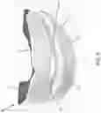 Fig. 05 - Apparatus for reducing snoring