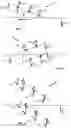 Fig. 06 - Sweeping optical scanner of an apparatus for cutting-out a human or animal tissue