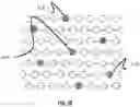 Fig. 14 - Sweeping optical scanner of an apparatus for cutting-out a human or animal tissue