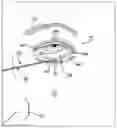 Fig. 01 - Instrument for treating an ocular disorder