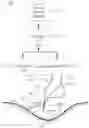 Fig. 02 - Systems, methods, and devices for artificial placentas and amniotic bed incubators
