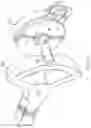 Fig. 12 - Upper-body robotic exoskeleton