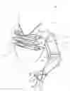 Fig. 01 - CABLE OPERATED MOTION AUGMENTATION SYSTEM AND METHOD