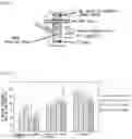 Fig. 02 - MOISTURIZING BASE MATERIAL CONTAINING LIPID PEPTIDE COMPOUND