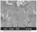 Fig. 01 - Manufacturing method of an ascorbic acid dispersion material