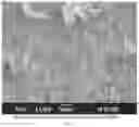 Fig. 02 - Manufacturing method of an ascorbic acid dispersion material
