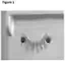 Fig. 02 - Natural-based mascara with high cosmetic effect