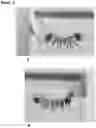 Fig. 03 - Natural-based mascara with high cosmetic effect