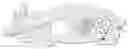 Fig. 01 - Enteric elastomers