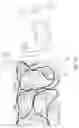 Fig. 02 - Enteric elastomers