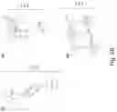 Fig. 06 - Enteric elastomers