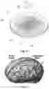 Fig. 13 - Biopatch, bioheater, biosensor and bioelectronic patch device
