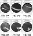 Fig. 23 - Shape changing drug delivery devices and methods