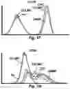 Fig. 04 - Stem cell biomimetic microparticles