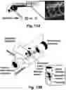 Fig. 26 - Stem cell biomimetic microparticles