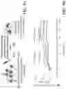 Fig. 15 - Targeted nanogels for urinary bladder therapies