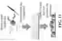 Fig. 17 - Targeted nanogels for urinary bladder therapies