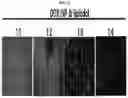 Fig. 09 - Composition for hepatic arterial chemoembolization using human serum albumin nanoparticles carrying anticancer agent, and method for producing same