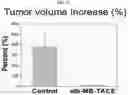 Fig. 13 - Composition for hepatic arterial chemoembolization using human serum albumin nanoparticles carrying anticancer agent, and method for producing same
