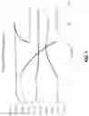 Fig. 02 - Sol-gel/hydrogel therapeutic delivery system and methods thereof