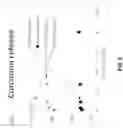 Fig. 03 - Sol-gel/hydrogel therapeutic delivery system and methods thereof