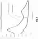 Fig. 08 - Sol-gel/hydrogel therapeutic delivery system and methods thereof