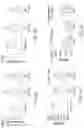 Fig. 04 - RAPIDLY IMPROVING VASCULAR CONDITIONS BY ADMINISTERING VITAMIN K