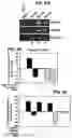 Fig. 07 - Methods of regulating cannabinoid receptor activity-related disorders and diseases