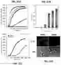 Fig. 23 - Methods of regulating cannabinoid receptor activity-related disorders and diseases
