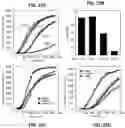 Fig. 24 - Methods of regulating cannabinoid receptor activity-related disorders and diseases