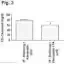 Fig. 04 - Agent for use in the treatment of dyslipidemia