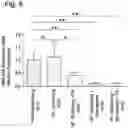 Fig. 07 - Agent for use in the treatment of dyslipidemia