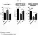 Fig. 02 - Composition for improving joint function