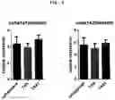 Fig. 04 - Composition for improving joint function