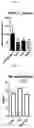 Fig. 06 - Composition for improving joint function