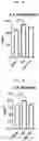 Fig. 07 - Composition for improving joint function