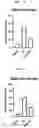 Fig. 08 - Composition for improving joint function