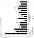 Fig. 13 - Andrographolide derivatives and method of using the same for treatment or prevention of fibrosis