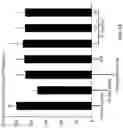 Fig. 25 - Andrographolide derivatives and method of using the same for treatment or prevention of fibrosis