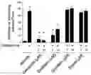 Fig. 01 - A COMPOSITION FOR PREVENTING OR TREATING PRURITUS