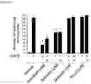 Fig. 04 - A COMPOSITION FOR PREVENTING OR TREATING PRURITUS