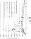 Fig. 15 - Methods and compositions for delivering mycophenolic acid active agents to non-human mammals