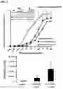 Fig. 03 - 20-HETE receptor (GPR75) antagonists and methods of use