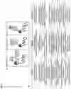 Fig. 10 - 20-HETE receptor (GPR75) antagonists and methods of use