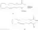 Fig. 102 - 20-HETE receptor (GPR75) antagonists and methods of use