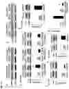 Fig. 13 - 20-HETE receptor (GPR75) antagonists and methods of use