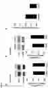 Fig. 14 - 20-HETE receptor (GPR75) antagonists and methods of use
