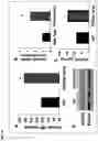 Fig. 19 - 20-HETE receptor (GPR75) antagonists and methods of use